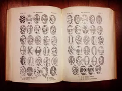 Źródło: Oskar Kolberg, Dzieła wszystkie. T. 33